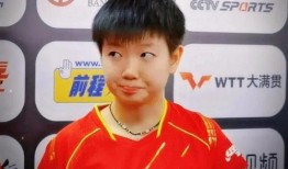 国乒cp最新动态爆料,最新动态曝光引粉丝热议