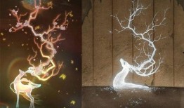 遇见神鹿最新的爆料,揭秘遇见神鹿背后的神秘故事