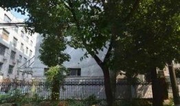 西安团结南路最新爆料,揭秘神秘项目进展与周边影响